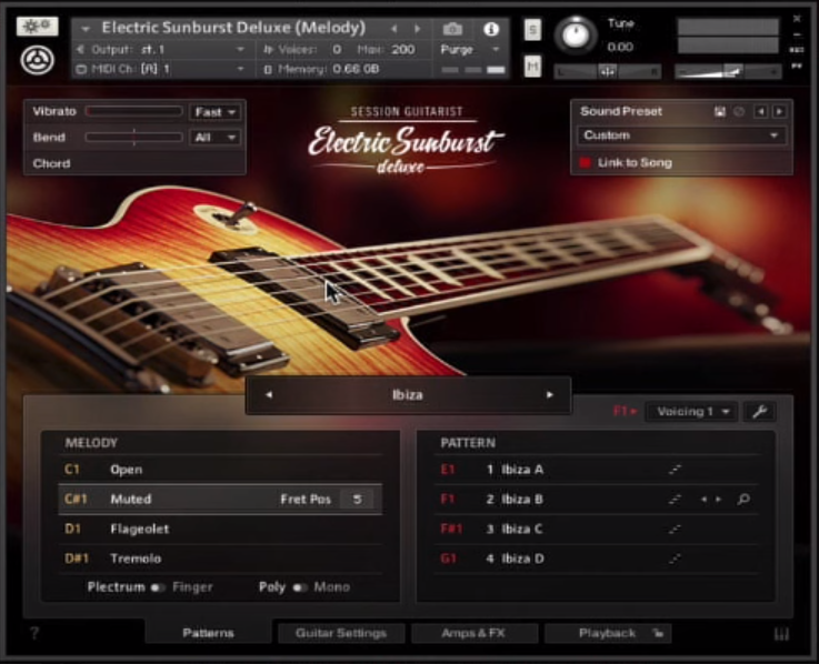 Native Instruments Session Guitarist - Electric Sunburst + Deluxe Upg